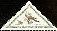 European Bee-eater Merops apiaster  1952 Birds 