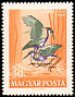 Purple Heron Ardea purpurea  1959 Water birds 