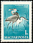 Grey Heron Ardea cinerea  1959 Water birds 