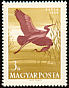 Glossy Ibis Plegadis falcinellus  1959 Water birds 