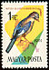 Eurasian Jay Garrulus glandarius  1961 Birds of the woods and fields 