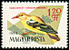 Eurasian Golden Oriole Oriolus oriolus  1961 Birds of the woods and fields 