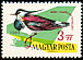 Northern Lapwing Vanellus vanellus  1961 Birds of the woods and fields 
