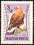 Golden Eagle Aquila chrysaetos  1962 Birds of prey 