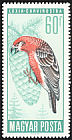 Red Crossbill Loxia curvirostra  1966 Protection of birds 