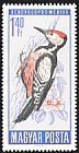 Middle Spotted Woodpecker Dendrocoptes medius  1966 Protection of birds 