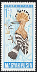 Eurasian Hoopoe Upupa epops  1966 Protection of birds 