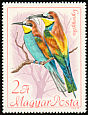 European Bee-eater Merops apiaster  1968 Protected birds 