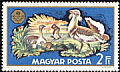 Great Bustard Otis tarda  1971 World hunting exhibition, Budapest 8v set