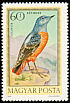 Common Rock Thrush Monticola saxatilis  1973 Hungarian birds 