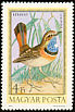 Bluethroat Luscinia svecica  1973 Hungarian birds 