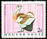 Great Bustard Otis tarda  1977 Birds of Hortobagy national park 