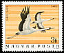 Common Crane Grus grus  1977 Birds of Hortobagy national park 