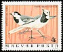 White Wagtail Motacilla alba