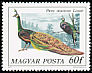 Green Peafowl Pavo muticus  1977 Peafowl and pheasants 