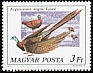 Great Argus Argusianus argus  1977 Peafowl and pheasants 