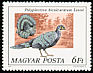Grey Peacock-Pheasant Polyplectron bicalcaratum  1977 Peafowl and pheasants 