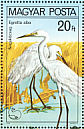 Great Egret Ardea alba  1980 Protected birds  MS