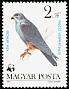 Red-footed Falcon Falco vespertinus  1983 WWF, birds of prey 