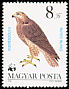 Common Buzzard Buteo buteo  1983 WWF, birds of prey 