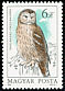 Ural Owl Strix uralensis  1984 Owls 