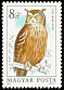Eurasian Eagle-Owl Bubo bubo  1984 Owls 