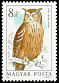 Eurasian Eagle-Owl Bubo bubo