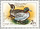 Eurasian Teal Anas crecca  1988 Duck recipes Booklet