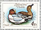 Eurasian Wigeon Mareca penelope  1988 Duck recipes Booklet