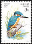 Common Kingfisher Alcedo atthis  1990 Birds 
