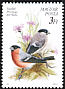 Eurasian Bullfinch Pyrrhula pyrrhula  1990 Birds 