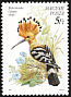 Eurasian Hoopoe Upupa epops