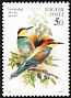 European Bee-eater Merops apiaster