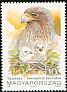 Booted Eagle Hieraaetus pennatus  1992 Birds of prey 