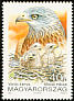 Red Kite Milvus milvus  1992 Birds of prey 