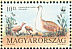 Great Bustard Otis tarda  1994 WWF, Great Bustard 