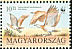 Great Bustard Otis tarda  1994 WWF, Great Bustard 