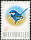 Splendid Fairywren Malurus splendens