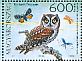 Boreal Owl Aegolius funereus  2017 Owls  MS