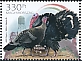 Wild Turkey Meleagris gallopavo  2024 Poultry breeds 3v set