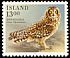 Short-eared Owl Asio flammeus  1987 Birds 