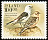 Snow Bunting Plectrophenax nivalis  1989 Birds 