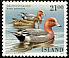 Eurasian Wigeon Mareca penelope  1990 Birds 