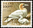 Northern Gannet Morus bassanus  1991 Birds 