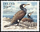 Great Cormorant Phalacrocorax carbo