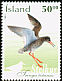 Common Redshank Tringa totanus