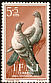 Rock Dove Columba livia  1957 Child welfare fund 