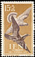 Stock Dove Columba oenas  1957 Child welfare fund 