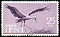 White Stork Ciconia ciconia  1960 Birds 