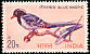 Red-billed Blue Magpie Urocissa erythroryncha  1968 Birds 